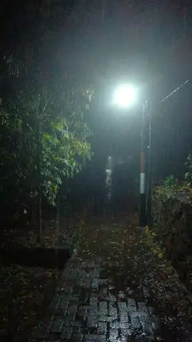 berjalan di jalan yang kecil di malam hari saat hujan 