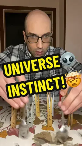 UNIVERSE INSTINCT😱🤯🌪️⚡️!!!By KEN LEE👽⚡️ #kenleespeed🐉 #speedoflight⚡ #universespeed⚡️ #velocitadellaluce #fastestmanalive 