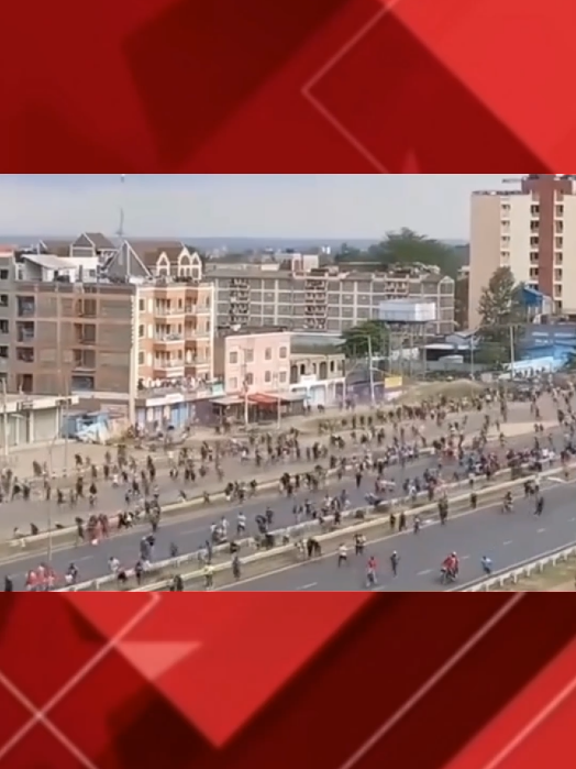 # tính sơ bộ số người công dân Việt Nam tham gia đào lửa ở khu tự trị Campuchia trên 6 trăm nghìn người #xuhuong #camping #tintuc #training #