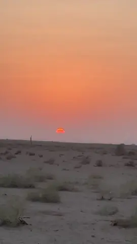 #تصويري #اكسبلور 