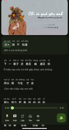 Học tiếng trung qua bài hát : “  Chỉ vì quá yêu anh - 只是太爱你 ”  🫶🏻 Hiện trung tâm đang chiêu sinh các lớp ONLINE và OFFLINE Thủ Đức - Dĩ An , bạn nào có nhu cầu ib nha  #LearnChinese #tiengtrungonline  #tiengtrungamei #viral #chinesesongs 