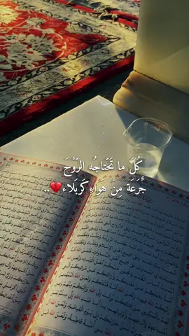 حُسيين🥀.#تصاميم_دينيه  #سيد_سلام_الحسيني #كربلاء #foryou  #اكسبلورexplore    