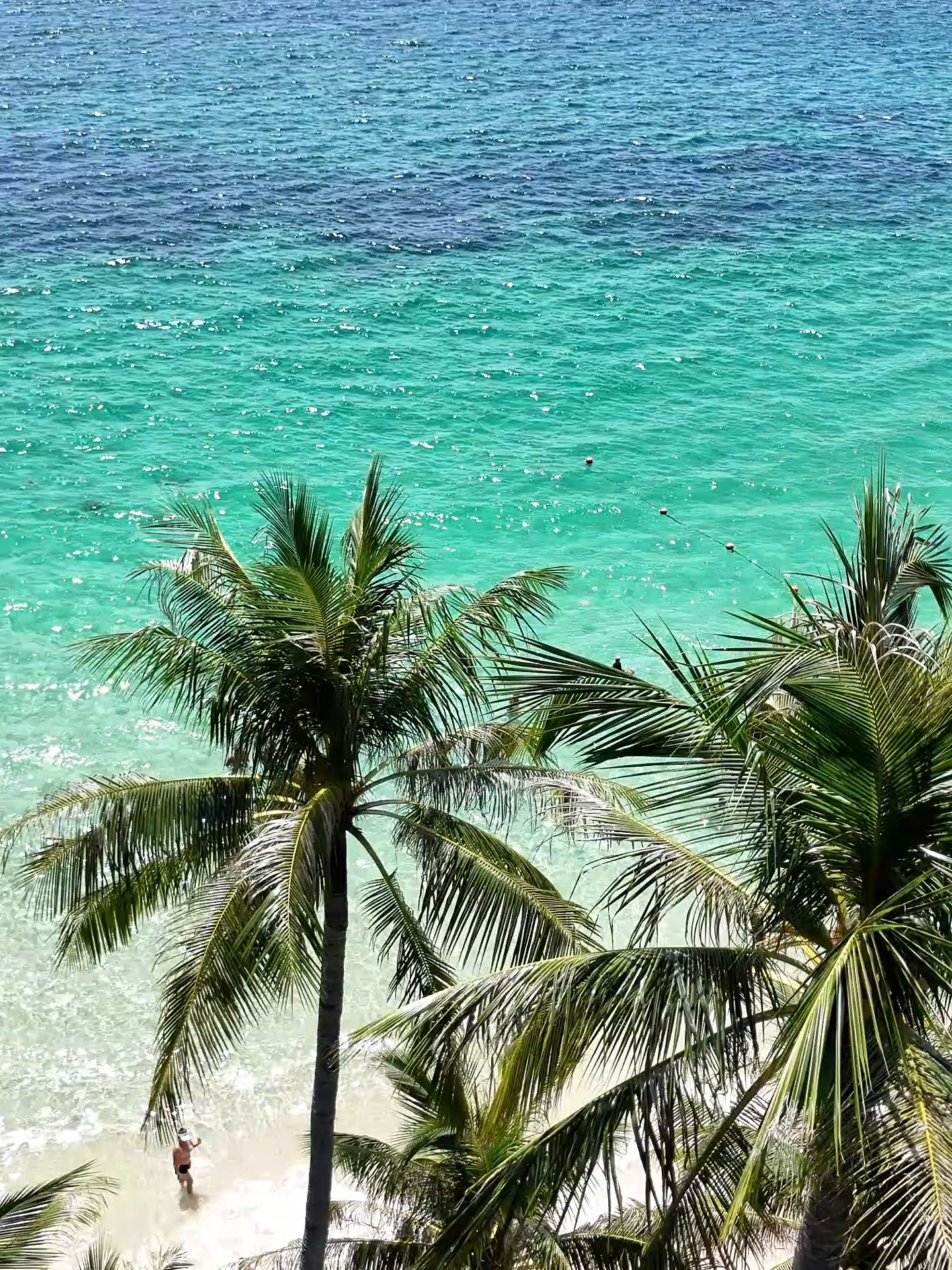 Chào mừng bạn đến với mùa đẹp nhất của Phú Quốc #phuquoc #dulichphuquoc #tourphuquoc #rootytripphuquoc #xuhuong