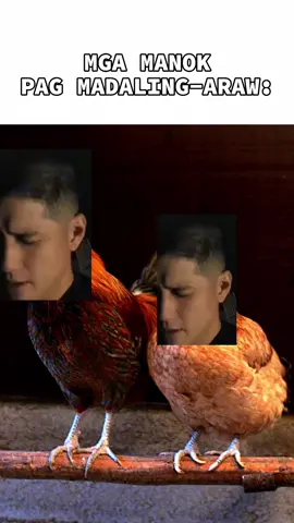 aaaaAaAahhhhh