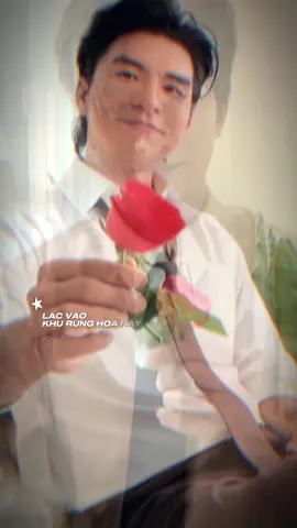 Chui chiu chọ #stevennguyen #donhathoang #huyhoang #hoanghuy #otp 