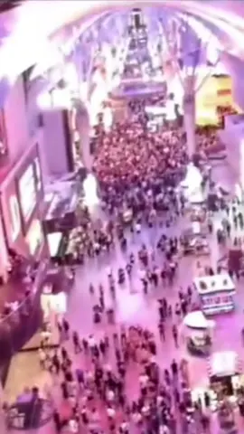 Fly..Live your life 🦚#PaidPartnership #LIVEIncentiveProgram #GenuineInteractionMatters 