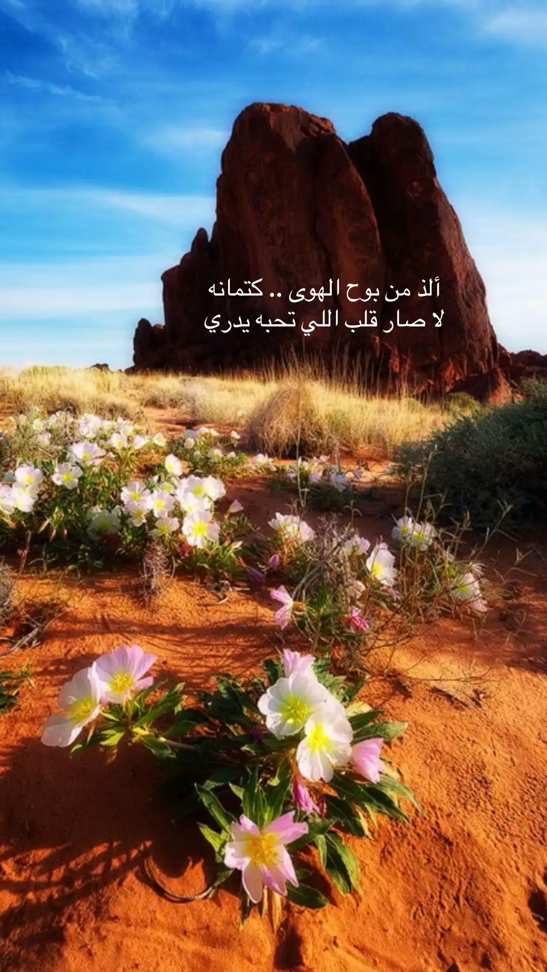 #اكسبلورexplore #اكسبلورexplore 