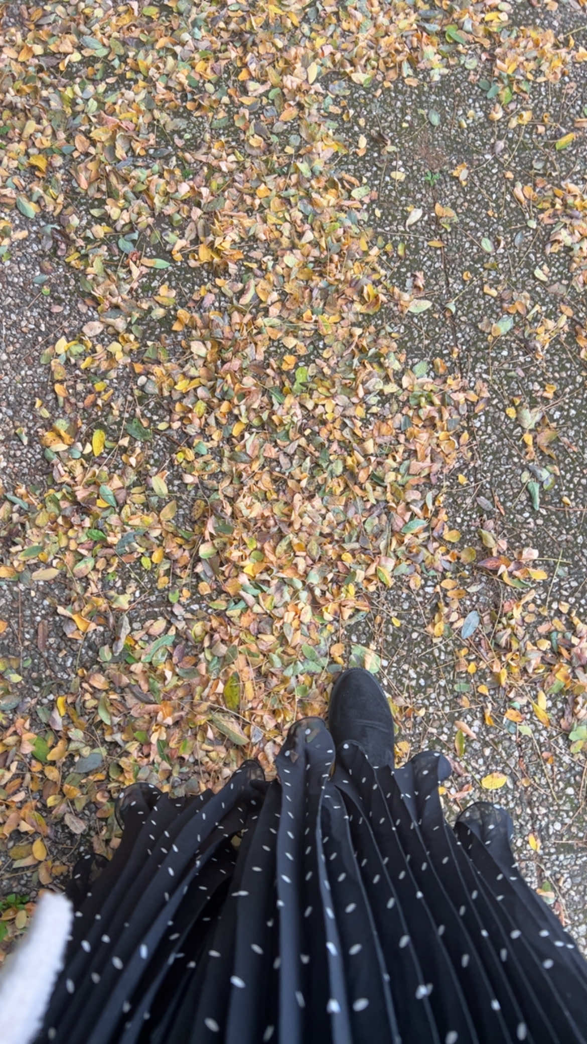 #outfit #hijab #modestfashion #grwm 