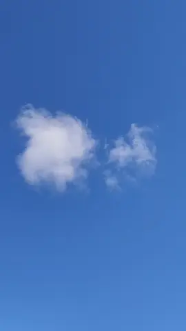 #цитати про життя #українськийтікток #українськийтікток #рекомендации 