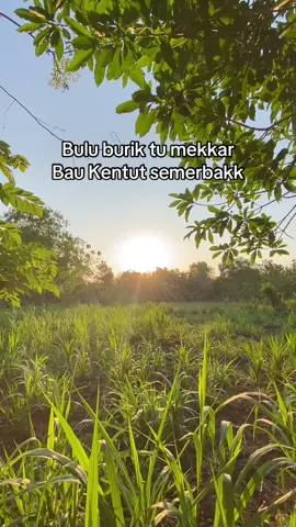 Bulu burik tu mekkar🤣#lagumadura #katakatamadura #virall 