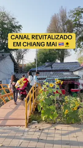 Esse é o KHLONG MAE KHA. Um canal revitalizado em Chiang Mai que hoje se tornou um ponto turístico da cidade. #365pelomundo #viagem #asia #tailandia #chiangmai 
