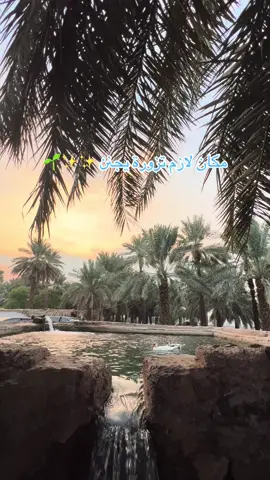 مزرعة سلمان الفارسي 🩶🩶🌴#جديد_المدينة_المنورة #اماكن_المدينه #المدينة_المنورة_الآن😍❤️ #مزارع #trending 