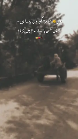 Hyee 🥹#fyp #foryou #foryoupage #urdupoetry #growmyaccount 