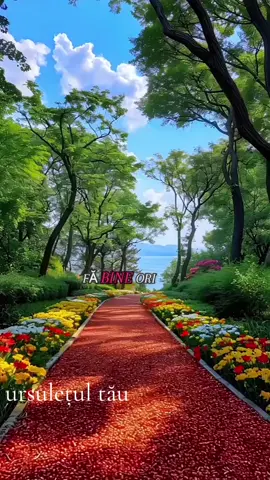 #fa #bine #ori #cui❤️❤️❤️❤️💫💫 