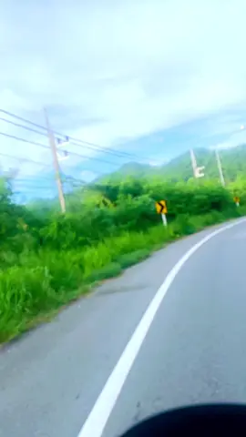 บรรยากาศชิวๆเพื่อชาไทยเเก้วเดียว วิถีแว๊นสองล้อ#ยินดีรับเพื่อนใหม่จ้า♥️♥️ #มาเป็นเพื่อนกันเถอะ #อย่าปิดกั้นการมองเห็นนะครับ 