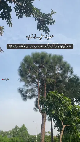 جو نہیں ہے وہ خبصورت ہے۔🙌🏻