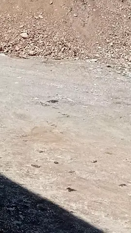 #viillla esxcolits#promoseruweekend # pantai panda #fyppppppppppppppppppppppp 