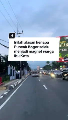 Kalian nyimpen kenangan apa di Puncak Bogor? #puncakbogor #bogorhits #explorebogor #kotahujan #wisatapuncak 