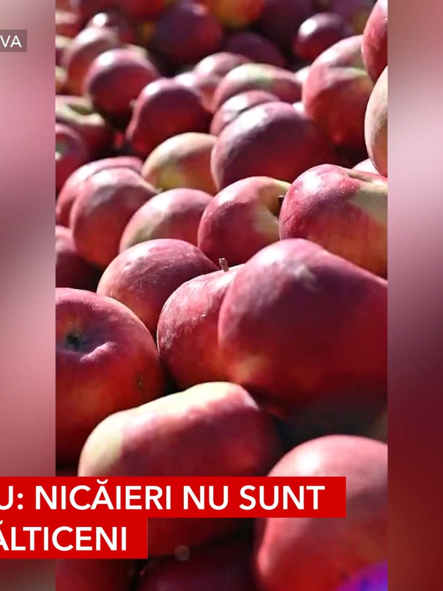 Arome de toamnă și tradiție la Târgul Mărului Târgul Mărului, ajuns la ediția a XX-a, a adunat sute de oameni, în acest weekend, zeci de producători din bazinul pomicol Fălticeni–Rădășeni și... un parfum de toamnă care se simțea până în centrul orașului. Printre vizitatori s-a aflat și vicepreședintele Consiliului Județean Suceava, Nicolae Robu, alături de senatorul Ioan Stan și viceprimarul Constantin Bulaicon, a vizitat standurile producătorilor, a stat de vorbă cu oamenii și, firește, nu a plecat cu mâna goală: a cumpărat câteva kilograme de mere și pere.