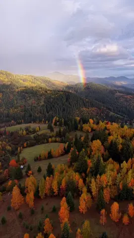 Do you ever feel the world holding its breath? Bucovina does. Its hills, dressed in molten gold and burnished crimson, seem to murmur in a dialect older than memory. The clouds above hang like torn pages of an unread scripture, and through their ragged seams, a rainbow descends, not arched, not obedient, but vertical, stern, and strange, as if the sky were bleeding light into the soil. The air is viscous with quiet, with the scent of decay and divinity commingled, and somewhere, a raven cuts the silence into ribbons of omen. Here, autumn isn’t a season, it’s an elegy. The monasteries, frescoed and patient, inhale the centuries. Their saints, painted in flaking pigment, gaze out upon a forest that never learned to forget. The wind threads itself through fir branches, carrying whispers of shepherd songs, psalms, and the ghostly thud of hooves long turned to dust. Every path in Bucovina feels rehearsed, as though each traveler is only repeating a gesture made by someone long vanished but not entirely gone. Perhaps what we call magic is only the Earth remembering itself too vividly. Perhaps that rainbow isn’t illusion but confession, a brief admission that heaven still aches for the ground. And you, standing there in the amber hush, are part of the dialogue. When was the last time you stopped demanding proof and simply believed? Video by @Ionuț Roscanu  [ Bucovina Hills, Autumn Forests, Transylvanian Mystique, Vertical Rainbow, Cloud Veils, Monastic Frescoes, Sacred Silence, Romanian Folklore, Mountain Valleys, Painted Churches, Rural Legends, Ethereal Landscapes, Forgotten Rituals, Eastern Carpathians, Spiritual Travel, Hidden Romania, Nature Reverie, Light Phenomena, Pilgrimage Paths, Timeless Beauty ] #romania #travel #bucovina #autumn