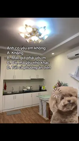 Hãy chọn phương án đúng #homestaydoirong #homestaydoson  #xuhuongtiktok  #xuhuong 