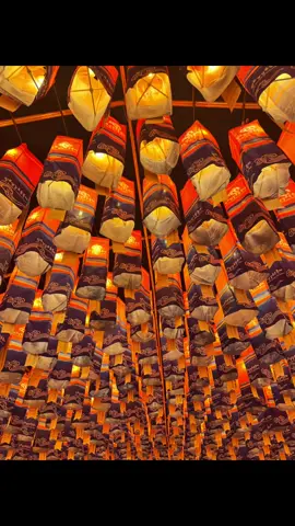 🏮🌉 나는 이 나라를 좋아한다 🇰🇷#fypシ゚ #เทศกาลโคมไฟชินจู 