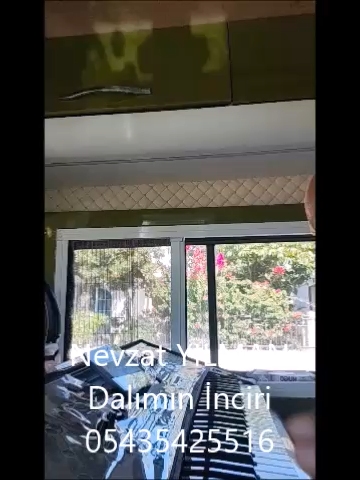 Nevzat YILMAN Dalımın İnciri