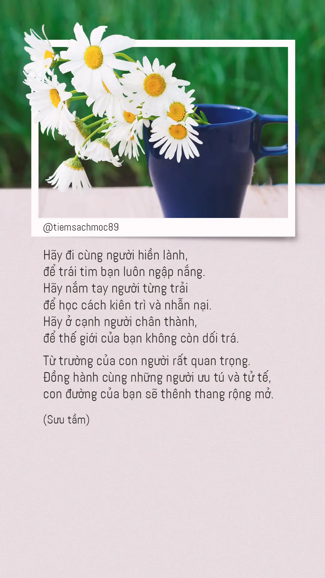Từ trường của con người rất quan trọng #fyp #tiemsachmoc89 #tamtrang #caption #status 