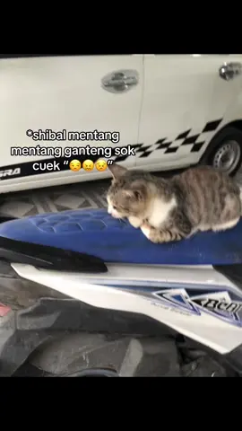 wkwkwk#fyppppppppppppppppppppppp #fypage #masukberanda #4upage #4u #fyppppppppppppppppppppppp #masukberanda 