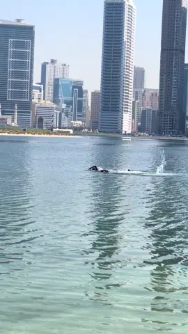 #foryoupage #tiktokdubai🇦🇪 #tiktokkampalauganda🇺🇬🇺🇬🇺🇬 #foryou #lifeguardsonduty 