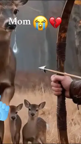 #oromotiktok❤️💚❤️ethiopiantiktok #cretarserchinsight 