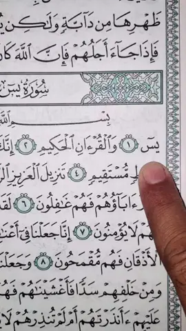Recitation Of Quran Surah Ya-Sin 📖 🎧 💖 #🤍 #quran #fyp #viral #foryoupage 