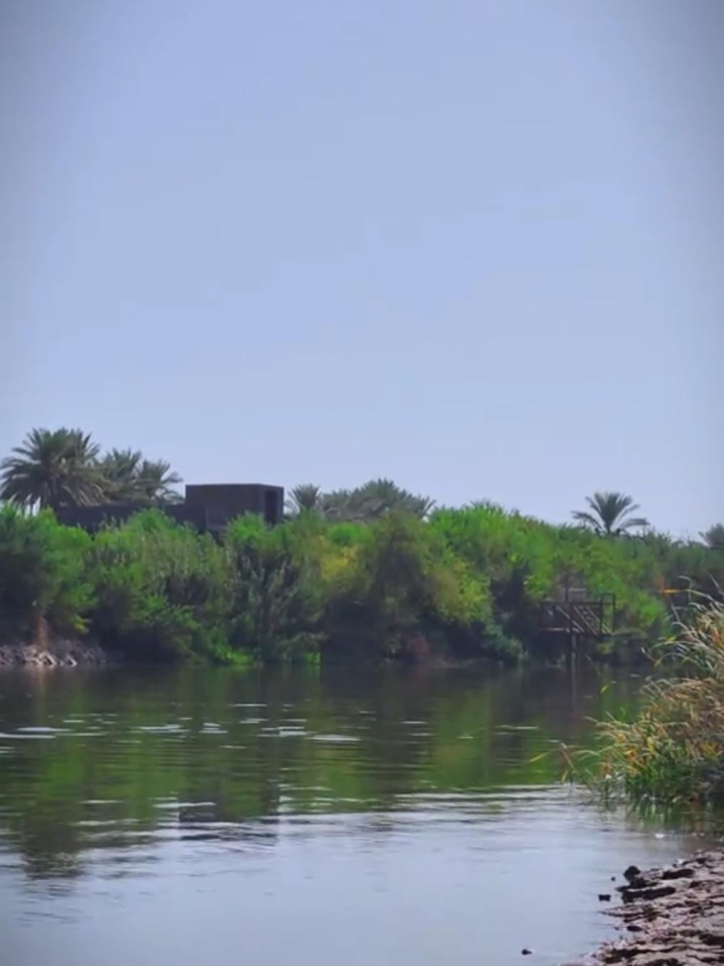 لازم تفرج✨...  .  .  .  #سمير_صبيح❤️ #شعراء_وذواقين_الشعر_الشعبي🎸 #رحيم_المالكي #لايك__explore___ #الريف 