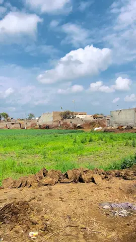 اِس گاؤں کی ان پڑھ مِٹّی #villagelife #funpage #viralvideo #viralvideo #pindawale 