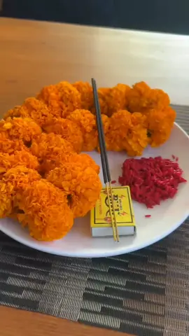 Happy tihar Babu🐶❤️#Shriyu🐉 #fypage 