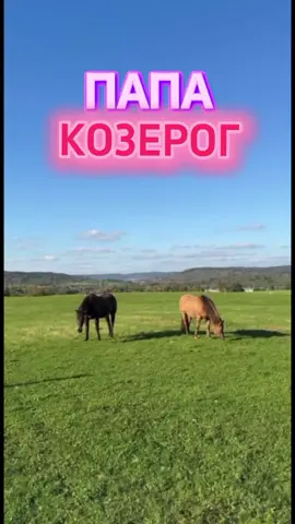 Козерог ПАПА Какой он на самом деле? #козерог #гороскоп #знакизодиака #horoscopelife #horoscope 