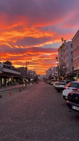 Ve birgün herkes terkettiği yere geri döner...