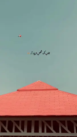 تیرے نال بڑا پیار آ . . 🥹🫂🫀🦋🌙 . . #foryou #poetry #uk #shayri #viewsproblem