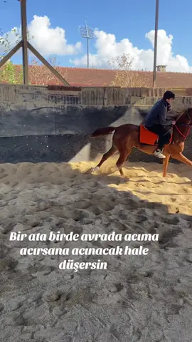 #at #avrat #söz #örfadet #kartepe 