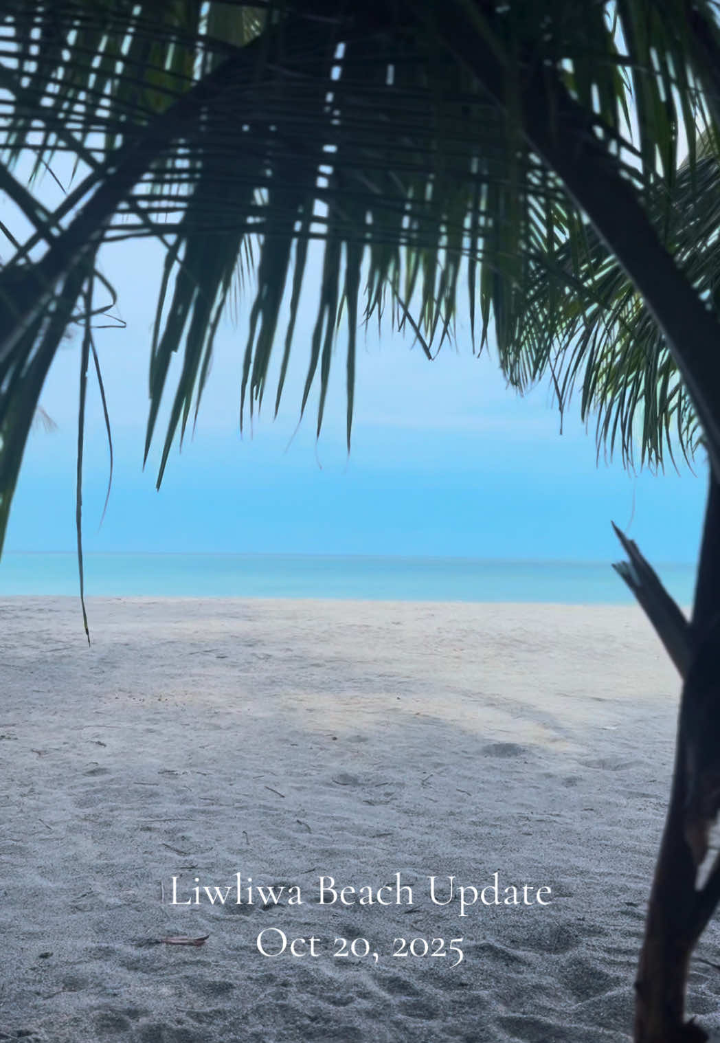 Looking for a quiet, affordable escape?  Come on a weekday and chill in our cozy kubo, your simple little spot to rest and reset for as low as ₱550 per person per night! And yes, we’re just a 3-minute walk from the beach! See you here in Liwa! ☀️ #bomdiahostel #liwliwa #backpacker #hostelph #zambales 