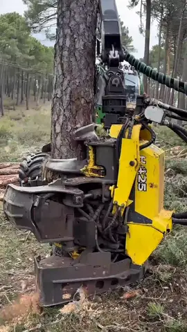 #Forestry #Timber #Logging #HeavyEquipment #Machines 
