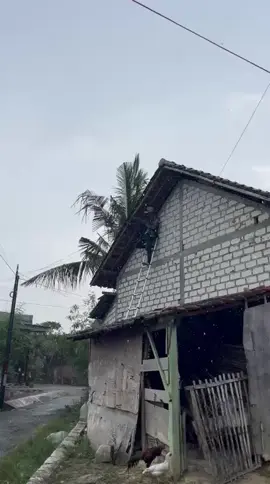 #fypシ #xyzbca #teknisiwifi #rtrwnetindonesia #fppppppppppppppppppp 