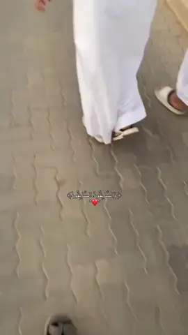 والسابقون السابقون❤️‍🩹 #تلاوة #قرآن #قرآن_كريم #القرآن #تدبر #صدقة_جارية_ارواح_اموات_المسلمين