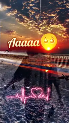 #ፍቅር➻ብቻ🖇ፍቅር➻ብቻ❤🥀🔐 #fyp #ፍቅር➻ብቻ🖇ፍቅር➻ብቻ❤🥀🔐 