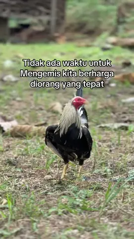 🥱 #fyp Madura golongan Reng saeee🕷️🪐