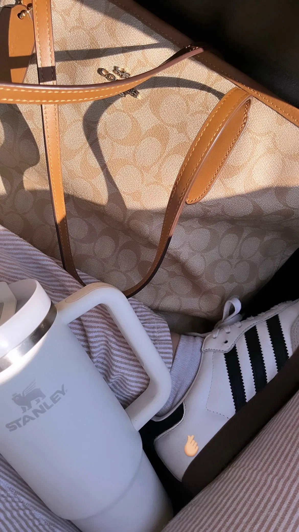 🤎 #fypシ #parati 