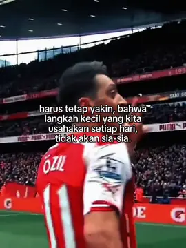 Mesut Özil🤗❤️ #mesutözil #arsenal #germany🇩🇪