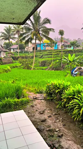 Hujan kasorenakeun #alhamdulillah🤲 #hujan🌧️ #suasanapedesaan 