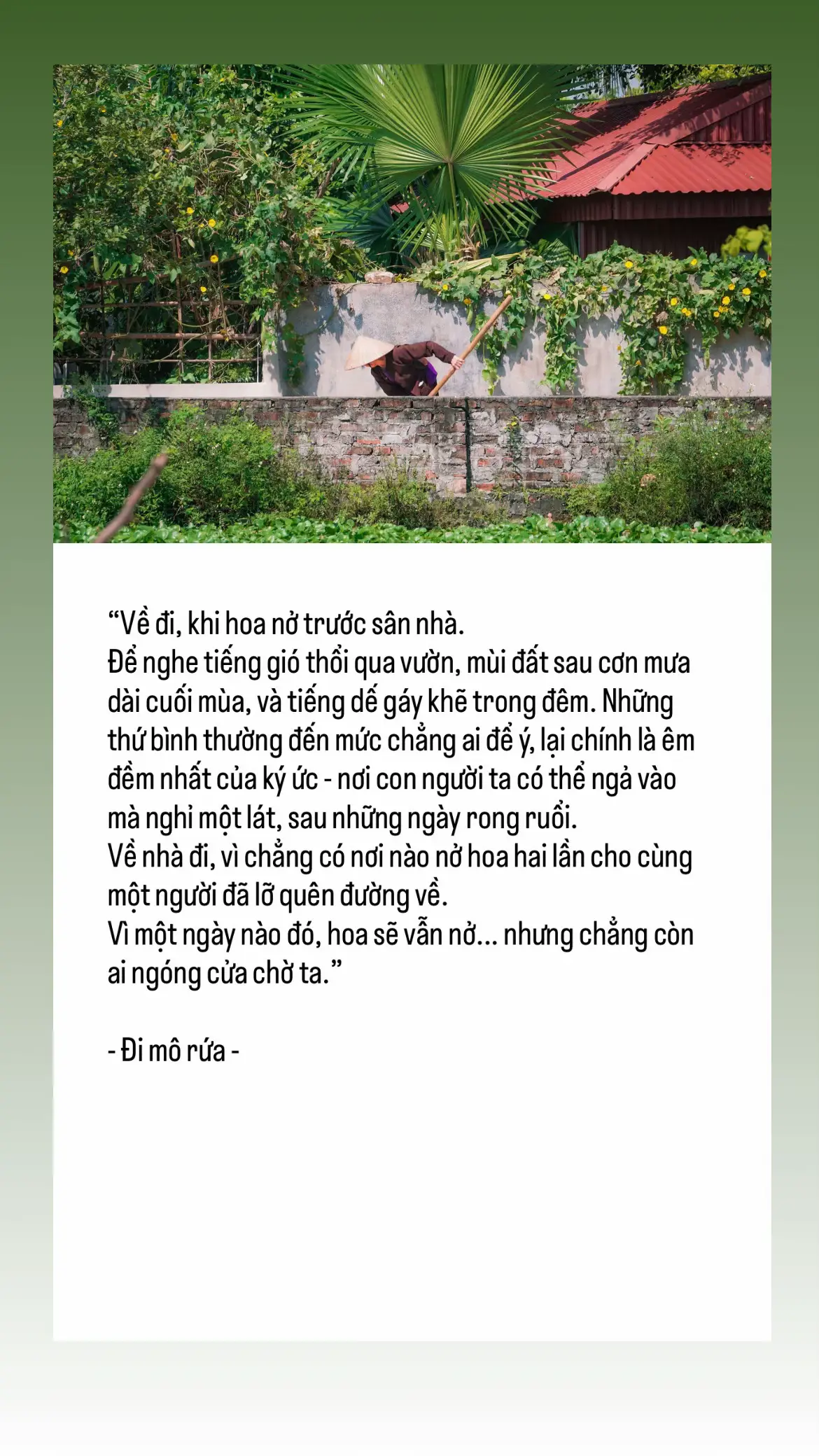 #hoainiem #nhungngayauthothuongnho 