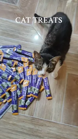 100 pcs cat treats! super affordable! #cattreats #treatsforcat #fypシ゚ 